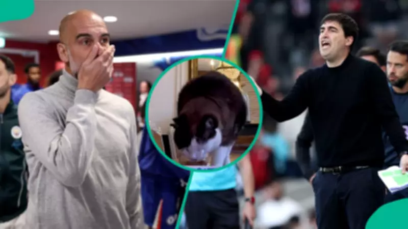Mysterious Cat Predicts Bournemouth vs Man City Premier League Result