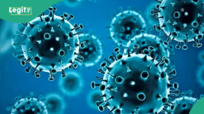 NCDC Lists 7 Steps Nigerians Must Take to Avoid Hantavirus Amid Global Outbreak