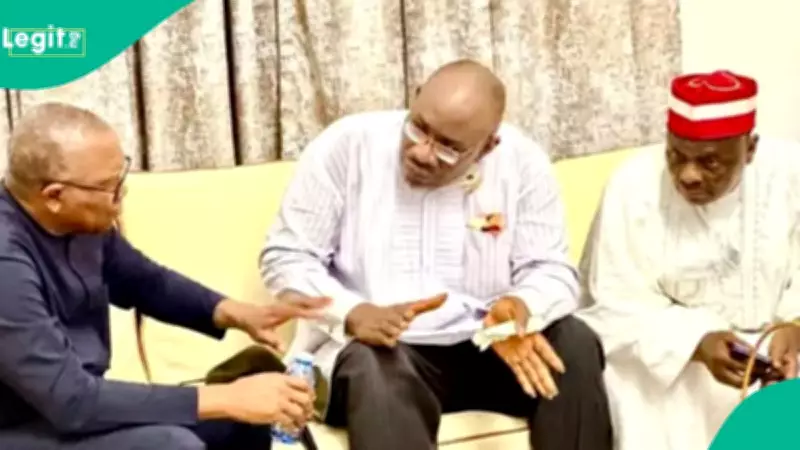 NDC: Key Facts as Peter Obi, Kwankwaso Join Opposition Party in Nigeria