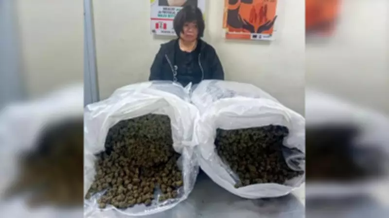 NDLEA Arrests Chinese National, Seizes Drugs in Lagos, Abuja, Enugu