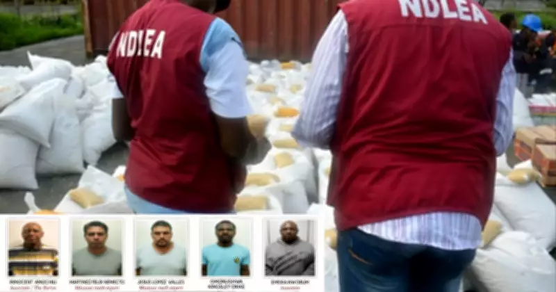 NDLEA Busts Nigerian-Mexican Drug Cartel, Seizes N480 Billion Meth in Ogun Forest