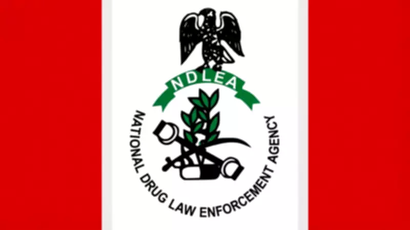 NDLEA Raids Drug Rings Near Bayero University, Arrests Six Suspects