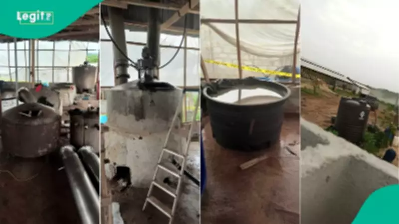 NDLEA Uncovers Nigeria's Largest Illegal Meth Lab in Ogun Forest