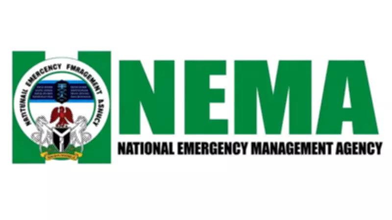 NEMA Repatriates 497 Stranded Nigerians from Niger Republic