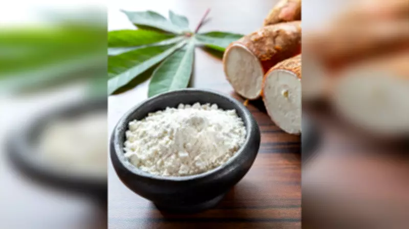 Nigeria Urged to Boost Cassava Export Competitiveness