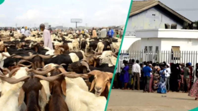 Nigerian Bank Subsidises Ram Sales for Eid al-Adha, Residents Buy for N20,000