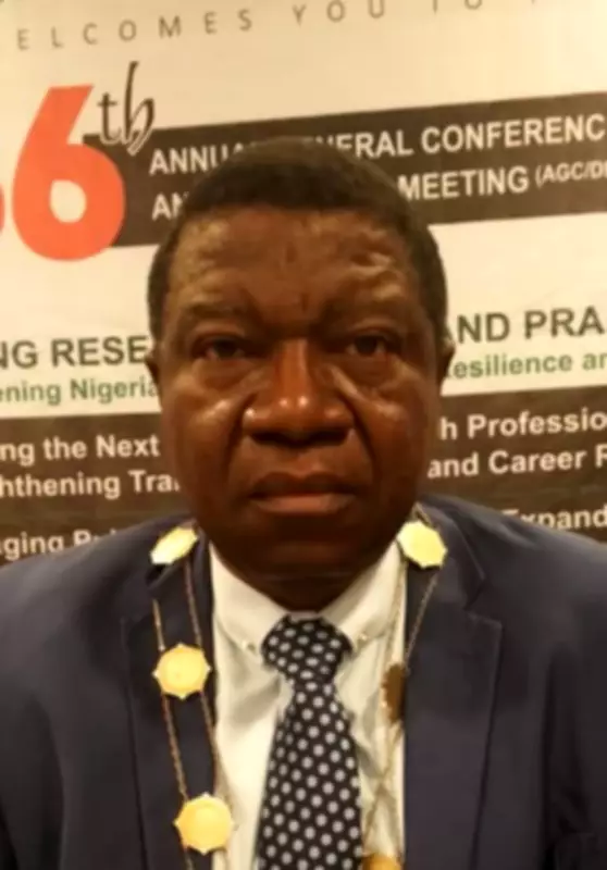 Nigerian Doctors Work in Rooms Not Fit for Animals, NMA President Laments