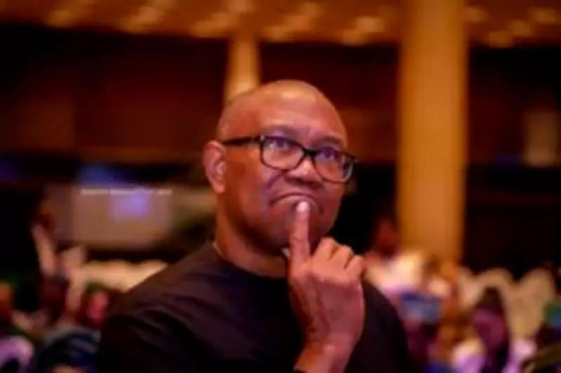 Nigerians Prefer to Die in South Africa Than Return Home, Says Peter Obi