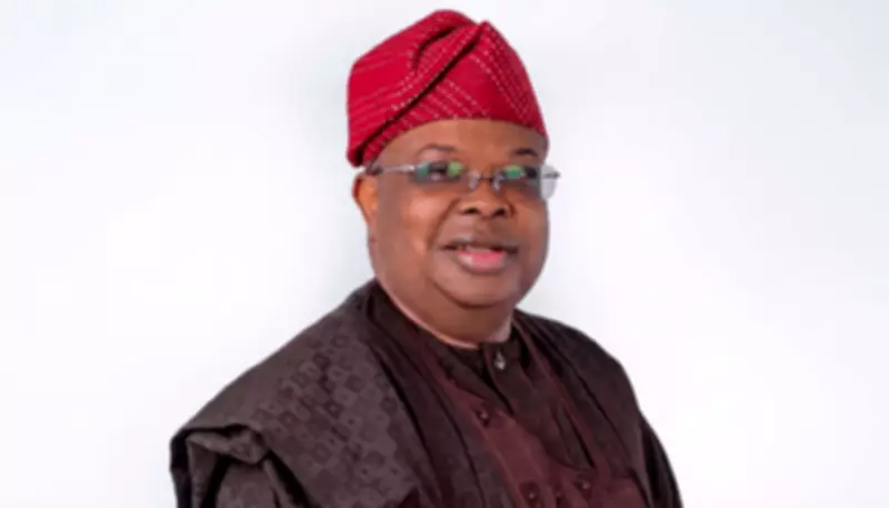 Nigeria's Power Minister Warns No Quick Fix for Electricity Crisis