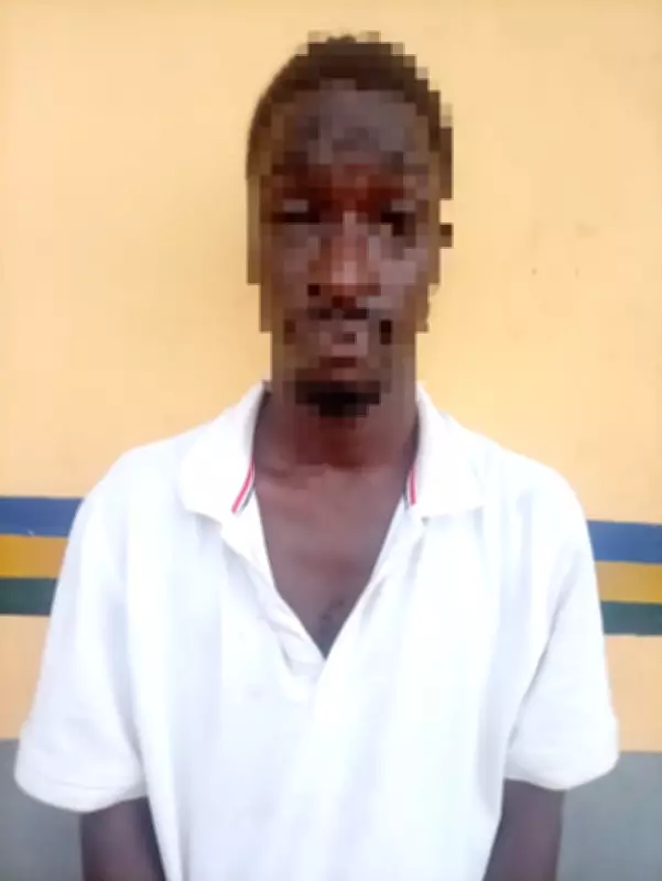 Ogun Police Arrest Suspect in Serial Fake Bank Transfer Fraud Case