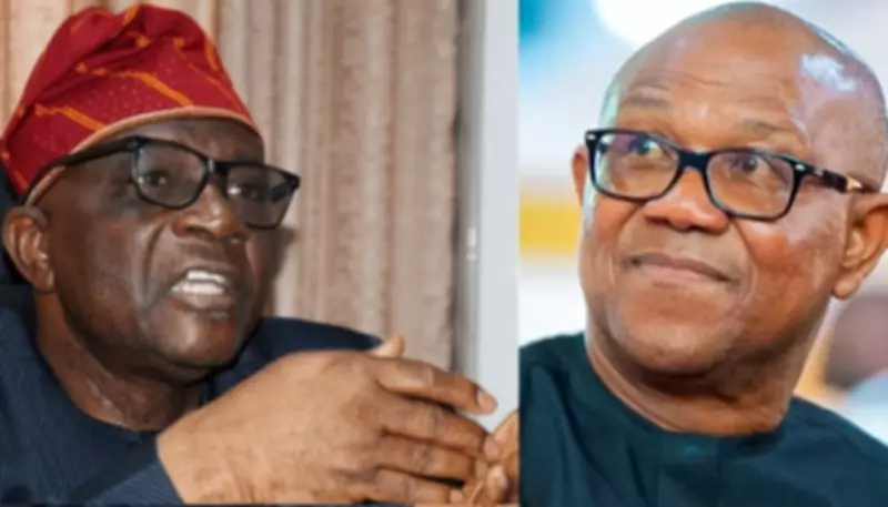 Onanuga Dismisses Peter Obi's One-Term Presidency Pledge as Untrustworthy
