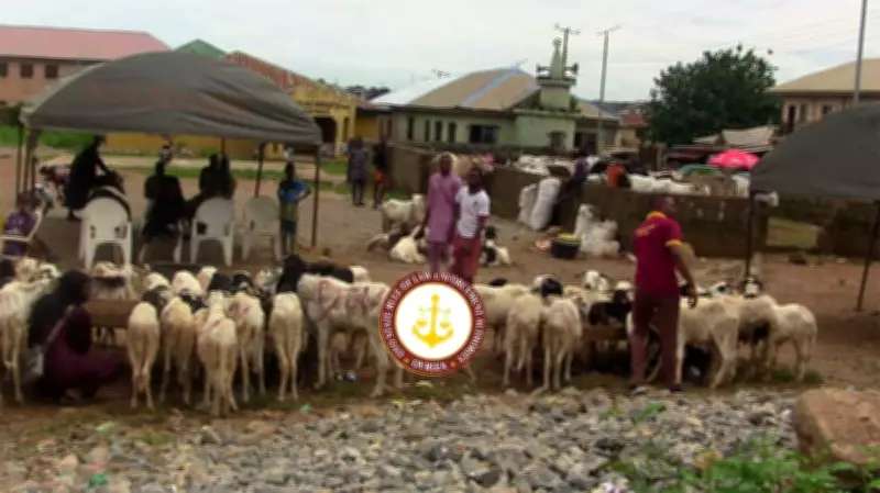 Oyo Intensifies Enforcement Against Illegal Livestock Trading and Open Grazing