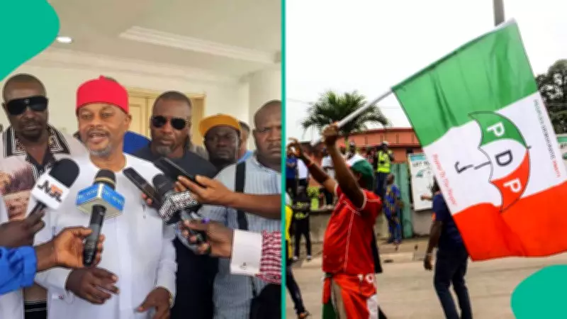 PDP Declares Uche Nnaji Winner of Enugu Governorship Primary