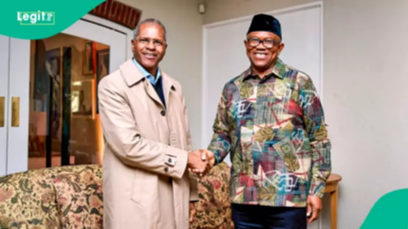 Peter Obi Laments Nigerians' Plight Abroad, Many Refuse Return from South Africa
