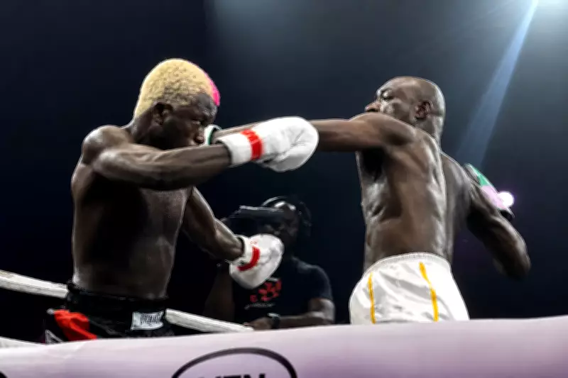 Portable Claims 'Ojoro' After Losing Celebrity Boxing Match to Carter Efe
