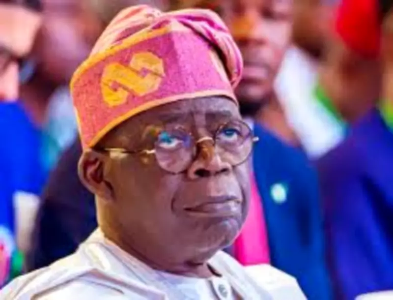 Presidency Denies Tinubu Plans to Rename Nigeria, Abolish Sharia