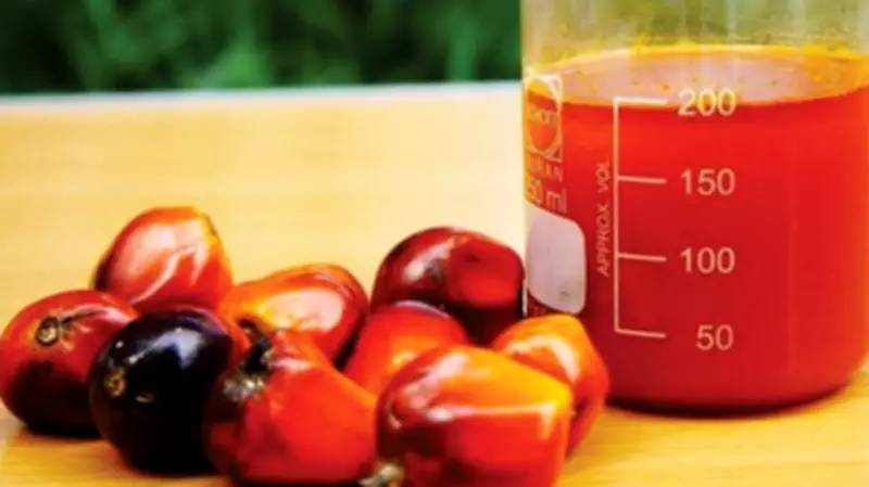 Rising Price of Adulterated Palm Oil Triggers Investigation in Lagos