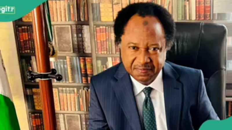 Shehu Sani Reveals How He Won APC Kaduna Central Senatorial Ticket