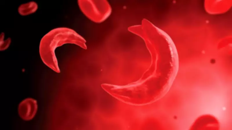 Sickle Cell NGO Honours Volunteers, Launches N10m Campaign in Lagos