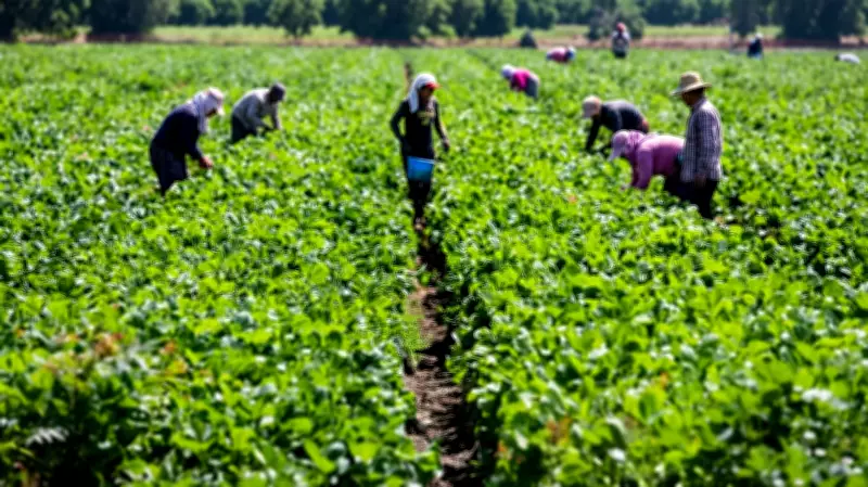 Stakeholders Craft Strategy for AU-Kampala Food Security Goals