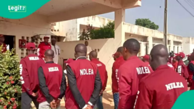 Stray Bullet Hits Boy During NDLEA Raid in Cross River State