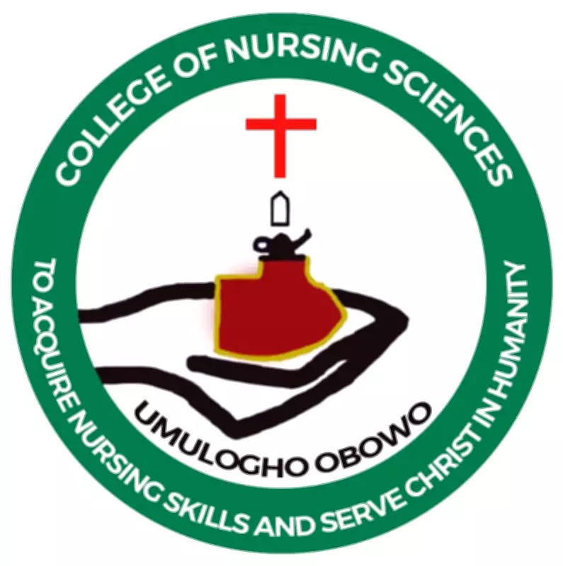 Suspect Arrested After Nursing Student Found Slain in Imo