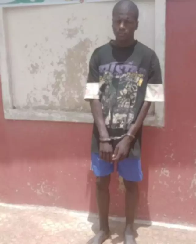 Suspect Arrested for Fatal Stabbing During Fight in Plateau Community