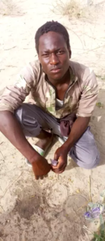 Teenage Terror Suspect Arrested by Troops in Borno State