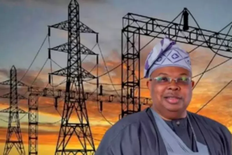Tegbe Denies Promising to Fix Nigeria's Power Grid in 3 Months