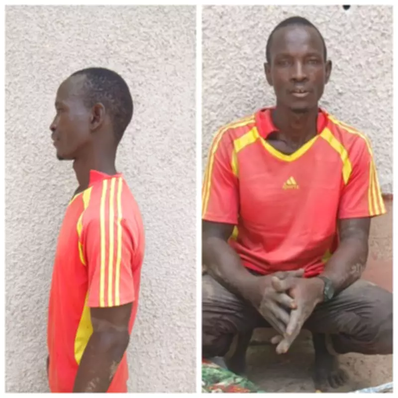 Troops Arrest Terrorist Informants in Ondo and Borno States