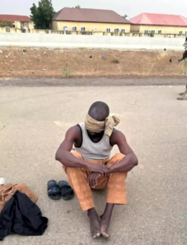 Troops Arrest Wanted Boko Haram/ISWAP Informant in Borno