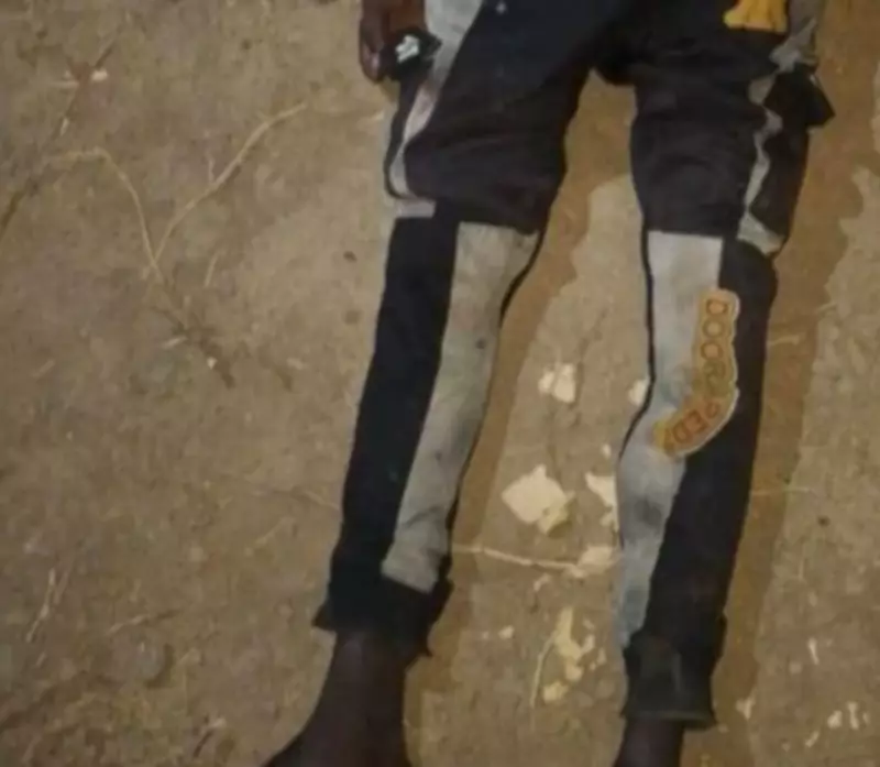Troops Neutralize Suspected ISWAP Spy in Borno Night Patrol