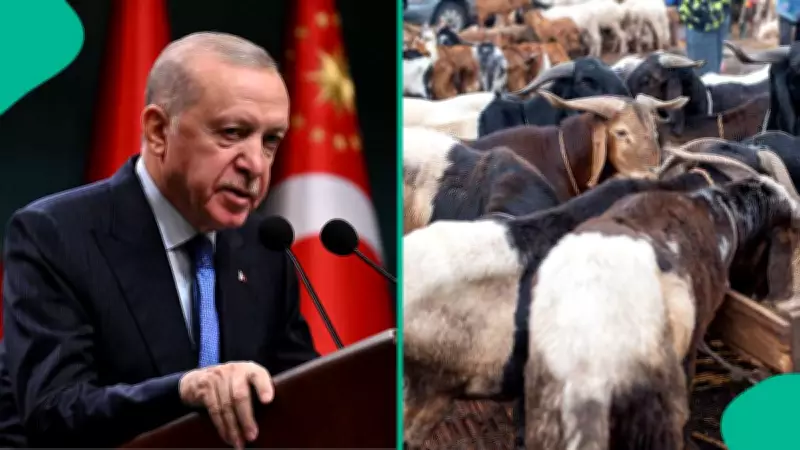 Turkey Declares Public Holiday for Eid Al Adha, Extends to Nine Days
