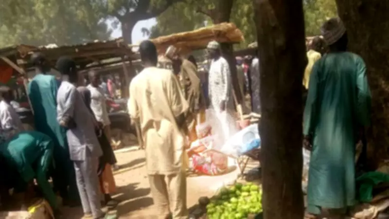 UN Urges Independent Probes into Deadly Nigeria, Chad Air Strikes