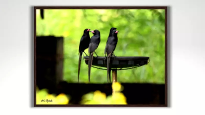 When the Wild Meets the Urban: Aako Ugbabe's Photo Exhibition at Didi Museum
