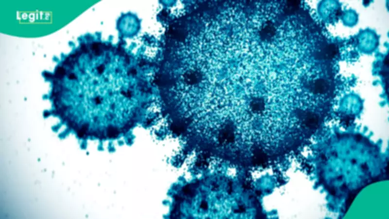 WHO Confirms 8 Hantavirus Cases, 3 Deaths in Outbreak