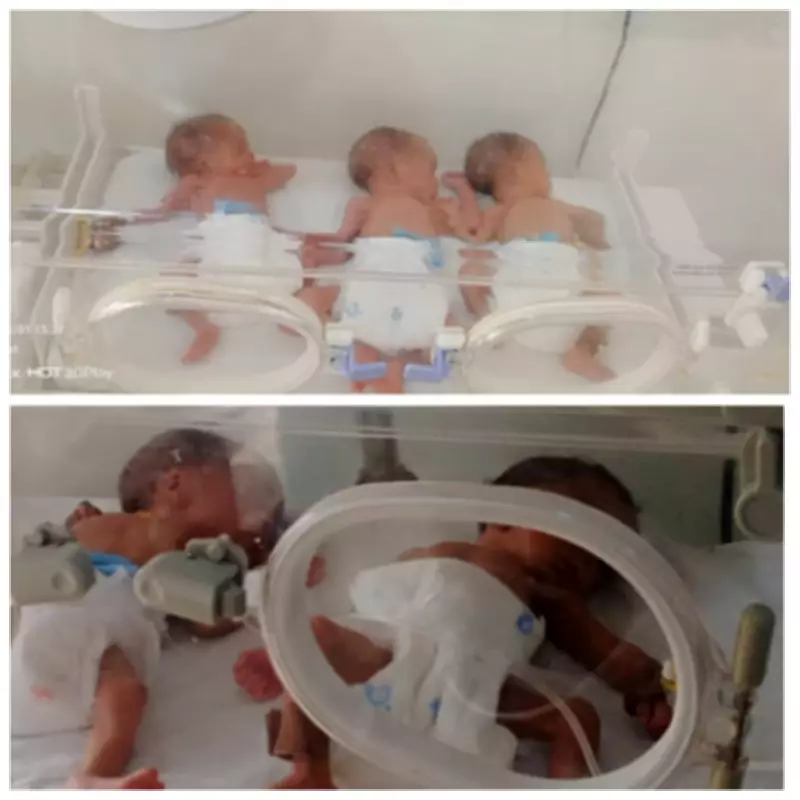 Woman Dies Hours After Delivering Quintuplets Following 14 Years of Childlessness