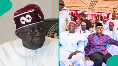 2027 Election: Momodu Claims Tinubu Forced Obi, Kwankwaso Alliance