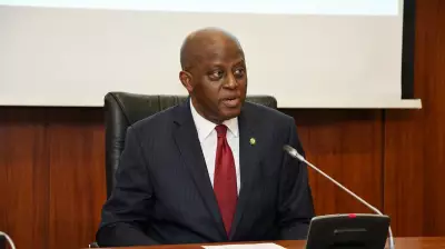 Bad Loans Crisis: Responsibility Lies with Directors, Shareholders, Not CBN