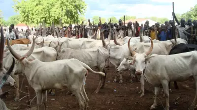 Kwara govt targets livestock boom, urges journalists to uphold ethical reporting
