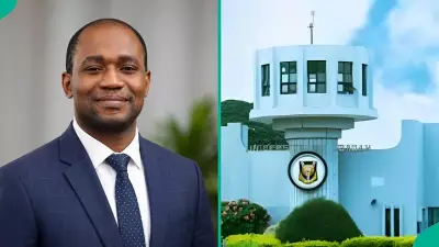 Nigerian Master's Graduate Seeks PhD Admission at University of Ibadan, Shares Journey