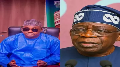 Tinubu's Projects Dominate Northern Nigeria, Says Former Kano Chairman