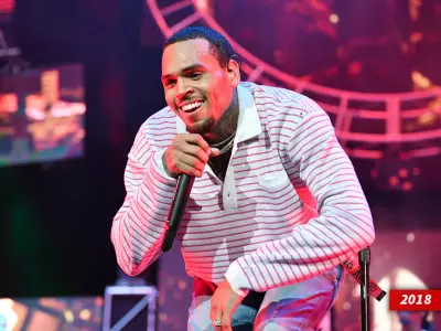 Trespasser Arrested at Chris Brown's Home After Attempting to Start Fire