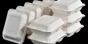 EPA Bans Polystyrene Foam Products Nationwide from January 2027
