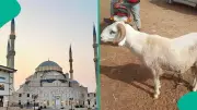 Kenya Declares May 27 Public Holiday for Eid Al Adha 2026