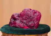 Miners Unearth 11,000-Carat Ruby in War-Torn Myanmar Region