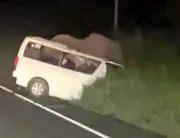 Minibus Hits Elephant in Uganda Park, Killing 3 People