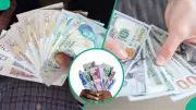 Naira Falls to N1,366.56 as Dollar Demand Surges, Banks Quote Higher Rates