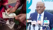 Naira Gains Against US Dollar, Euro in Official Market on May 21