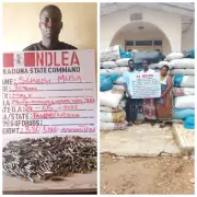 NDLEA intercepts military ammunition in Kaduna, arrests couple for drug trafficking
